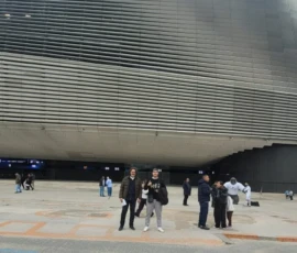 IMG-20251101-WA0037